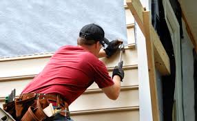 Best Custom Trim and Detailing for Siding  in Shinnston, WV